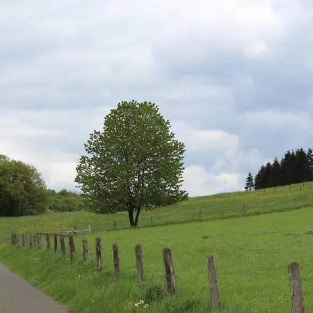 Eifelhaus Landluft Mit Infrarotkabine 公寓 Berlingen