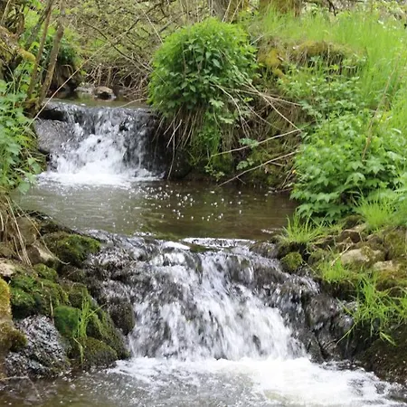 Eifelhaus Landluft Mit Infrarotkabine Berlingen