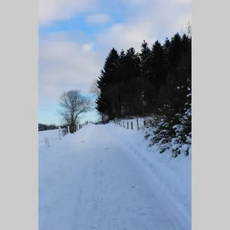 Apartment Eifelhaus Landluft Mit Infrarotkabine