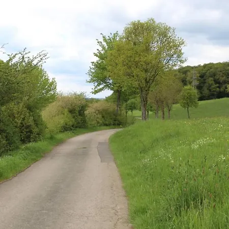 Eifelhaus Landluft Mit Infrarotkabine Apartment
