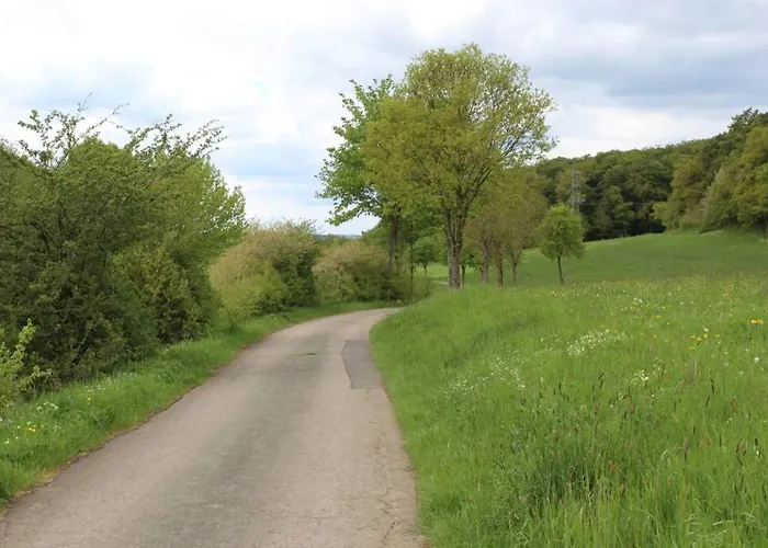 Eifelhaus Landluft Mit Infrarotkabine Apartamento